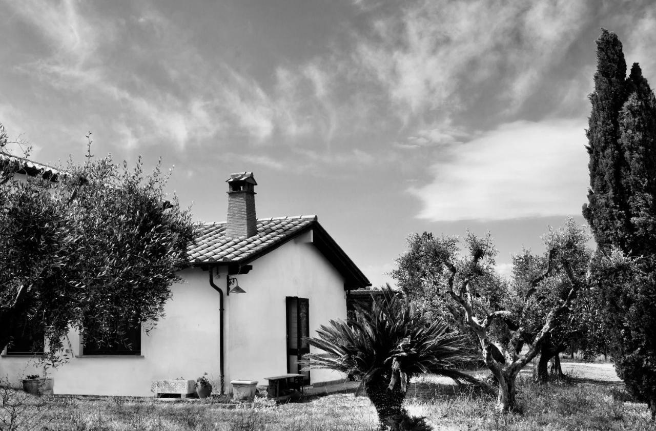 Villa Orti Di Capalbio Exterior foto